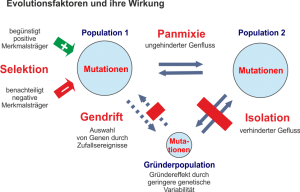 Die_Evolutionstheorie.png