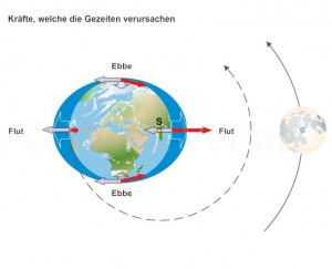 Gezeiten_U-Mat.jpg