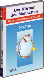 Mensch-Auge-0