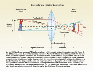 Mensch-Auge-5.jpg