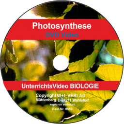 W+L Photosynthese