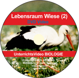 W+L Wiese 2
