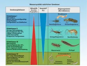 B Trinkwasser 6
