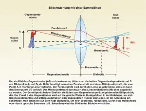 Mensch-Auge-5.jpg