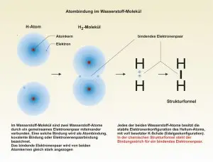 C-Bindungen-1