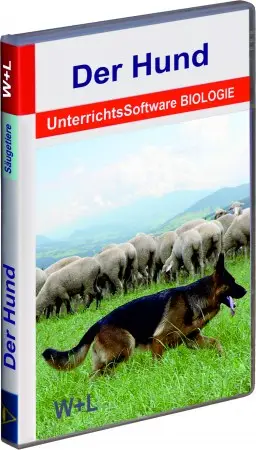 1002 Der Hund 2018