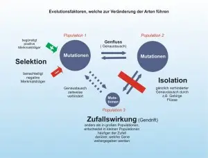 Evolutionstheorie.jpg