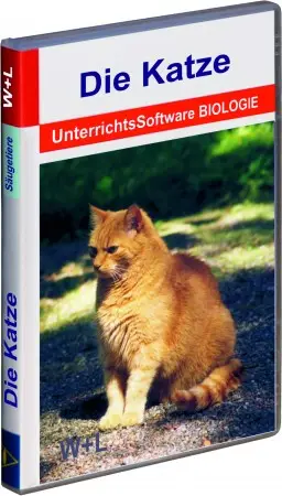 1001 Die Katze 2018