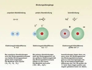 C-Bindungen-3