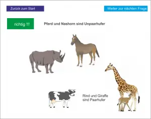 LS_Das Pferd 4