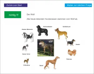 LS_Der Hund 2