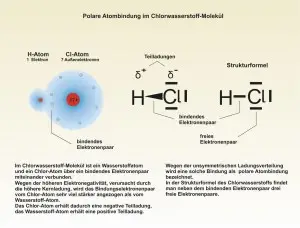 C-Bindungen-2