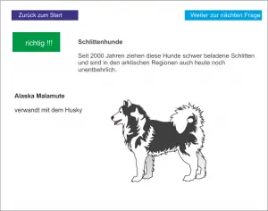 LS_Der Hund 4