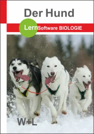 Der Hund
