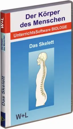 Mensch-Skelett-0