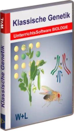 CD Klassische Genetik