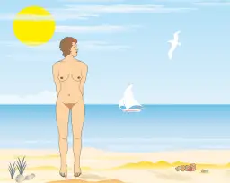 Die_weiblichen_Geschlechtsorgane.png