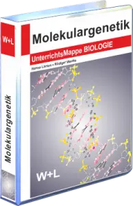 Mappe Molekulargenetik