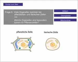 LS_Die Zelle 1