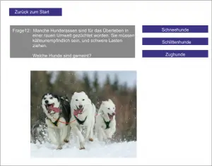 LS_Der Hund 3