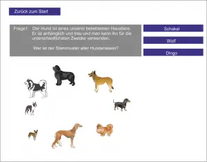 LS_Der Hund 1