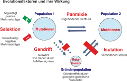 Die_Evolutionstheorie.png