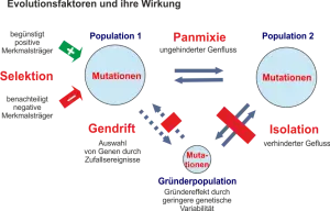 Die_Evolutionstheorie.png