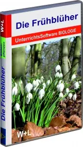 4002 Die Fr&uuml;hbl&uuml;her 2018