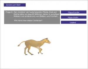 LS_Das Pferd 12